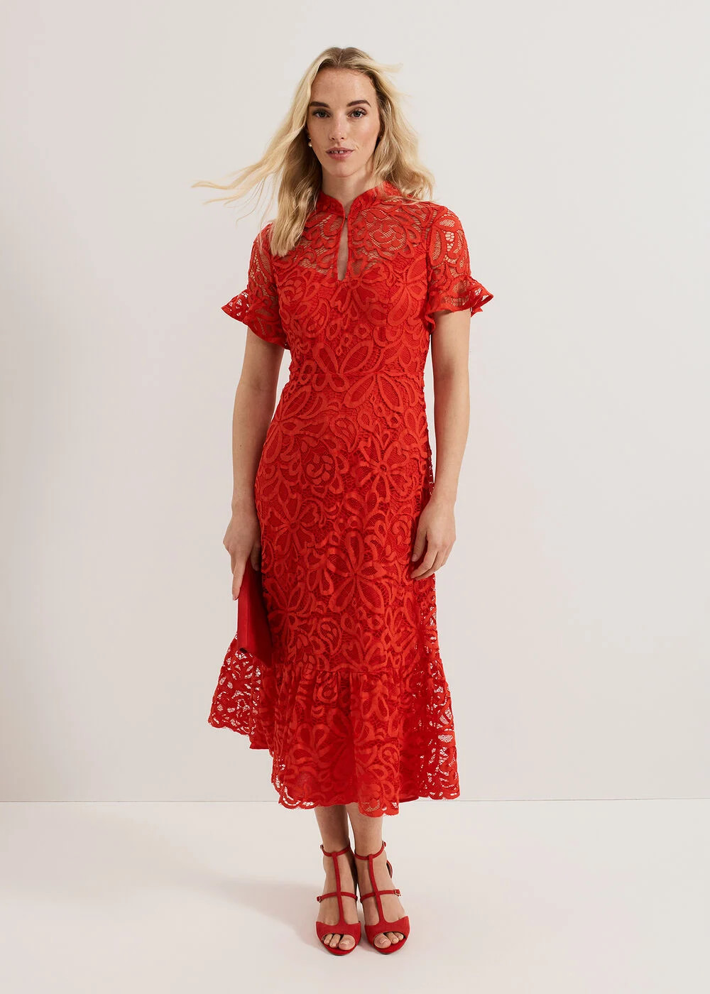Lula Lace Dress | Phase Eight UK | | Phase Eight