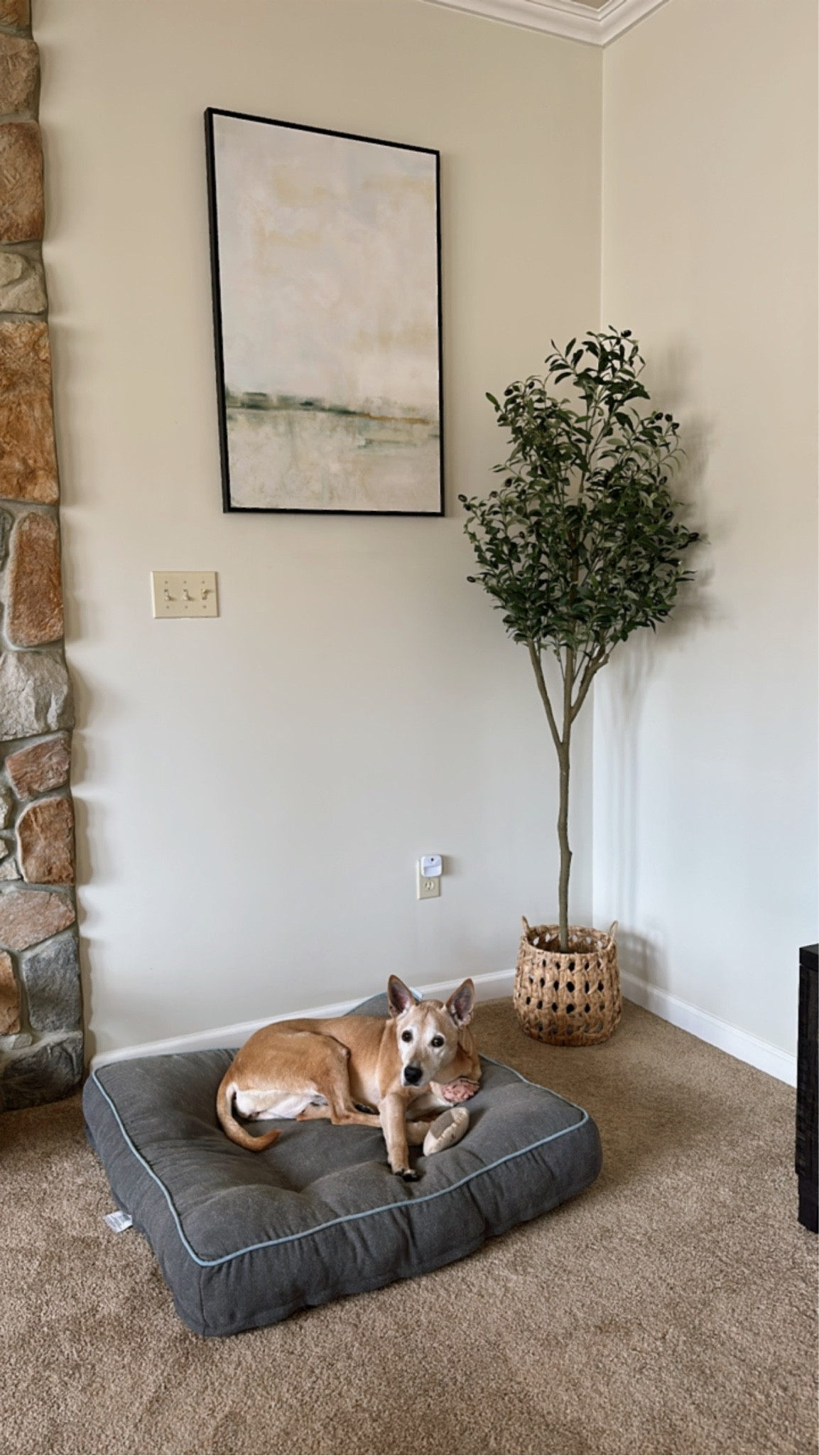 Amazon home decor. 🏠 
Canvas painting set- under $100
Olive tree set- under $130

*basket is from Target 🎯 