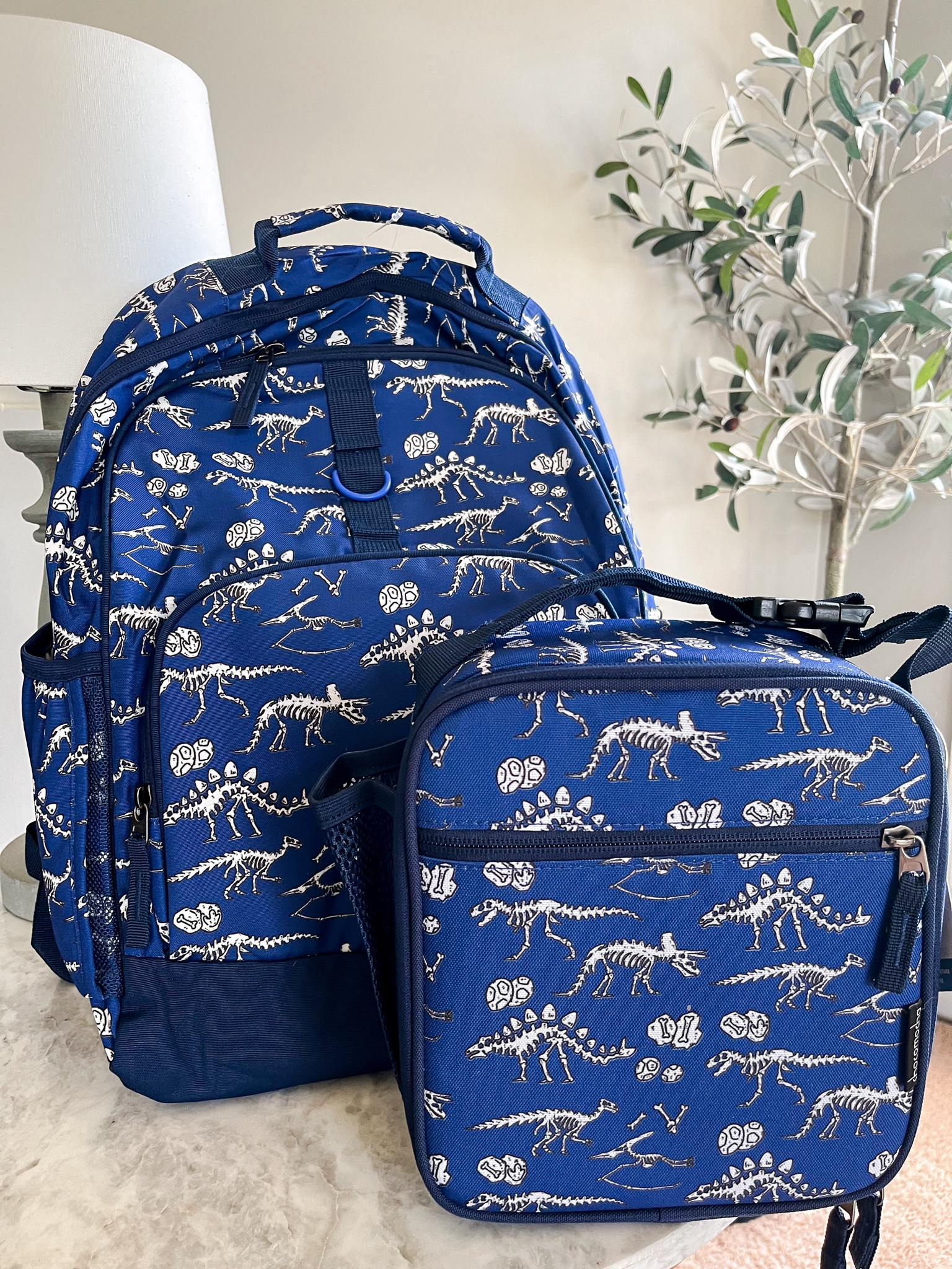 Backpack and matching lunchbox. I love that the lunchbox has the hardshell inside. Keeping food from getting smashed & so easy to clean! 


#LTKBacktoSchool #LTKStyleTip #LTKKids