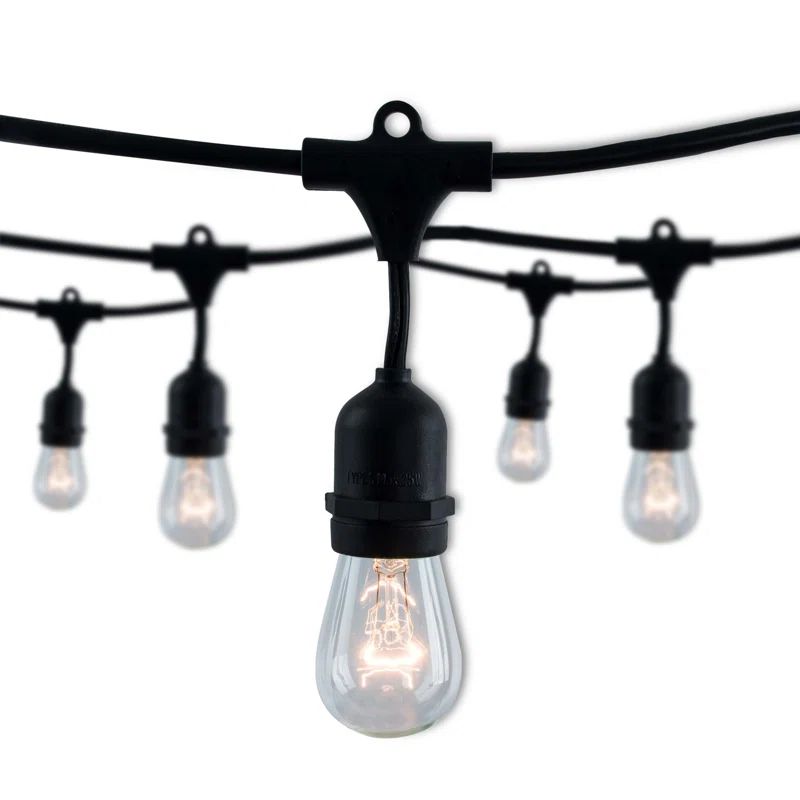 Kaitlynmarie 30-ft Outdoor 12 - Bulb Standard String Light (End to End Connectable) | Wayfair North America