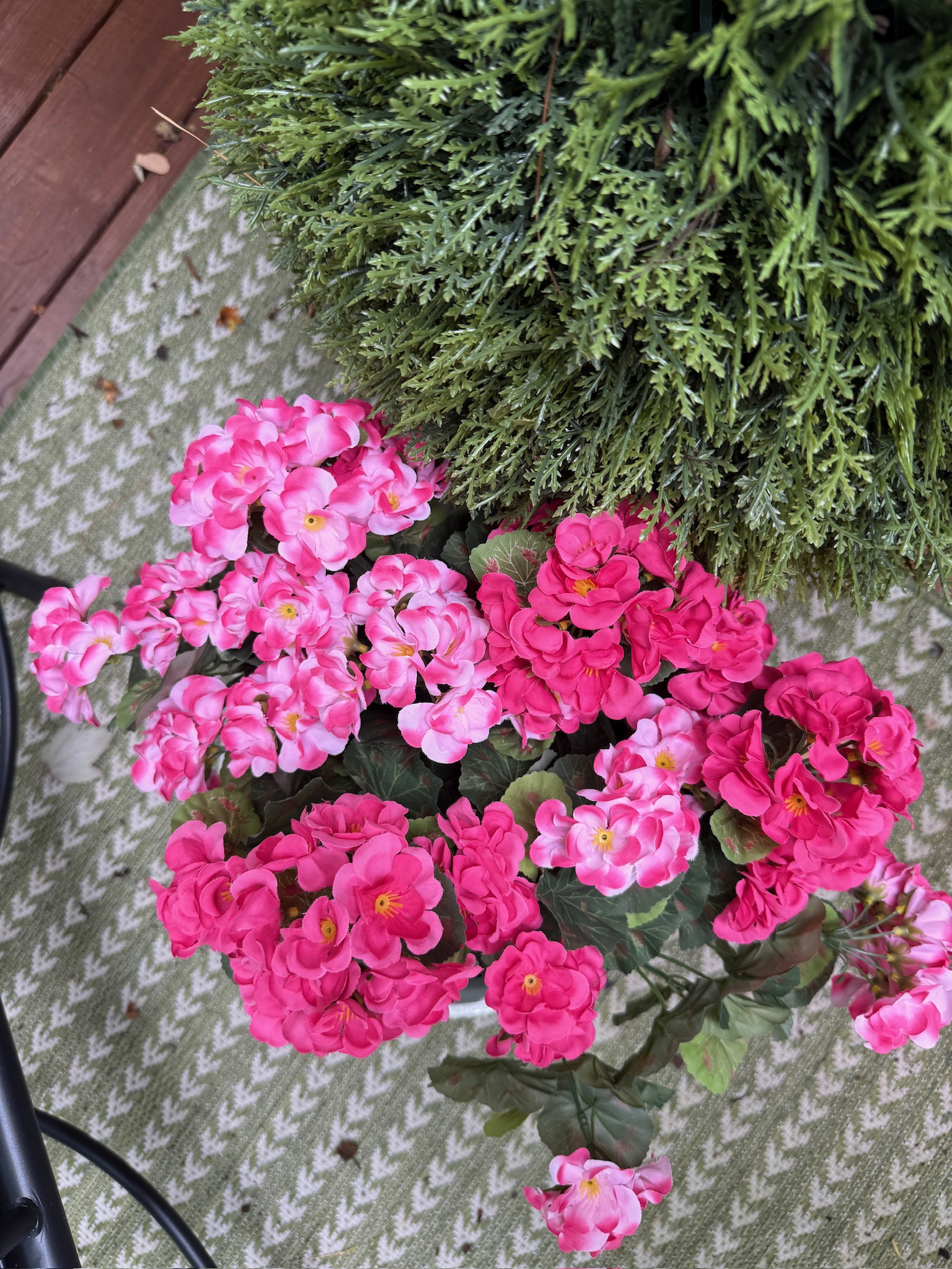 How realistic are these!?

Amazon, Amazon florals, faux florals, outdoor florals, porch florals, porch decor, summer decor, summer home, summer florals, Hallie Ragan

#LTKHome #LTKSeasonal #LTKmomlife
