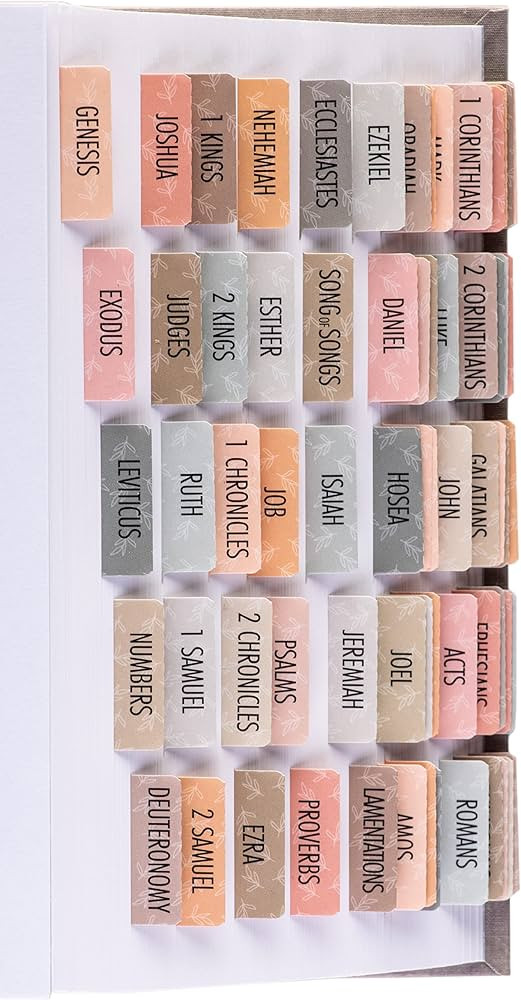 DiverseBee Laminated Bible Tabs (Large Print, Easy to Read), Bible Journaling Supplies, Bible Boo... | Amazon (US)