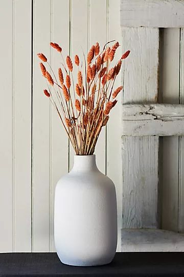 Preserved Phalaris Bunch | Anthropologie (US)