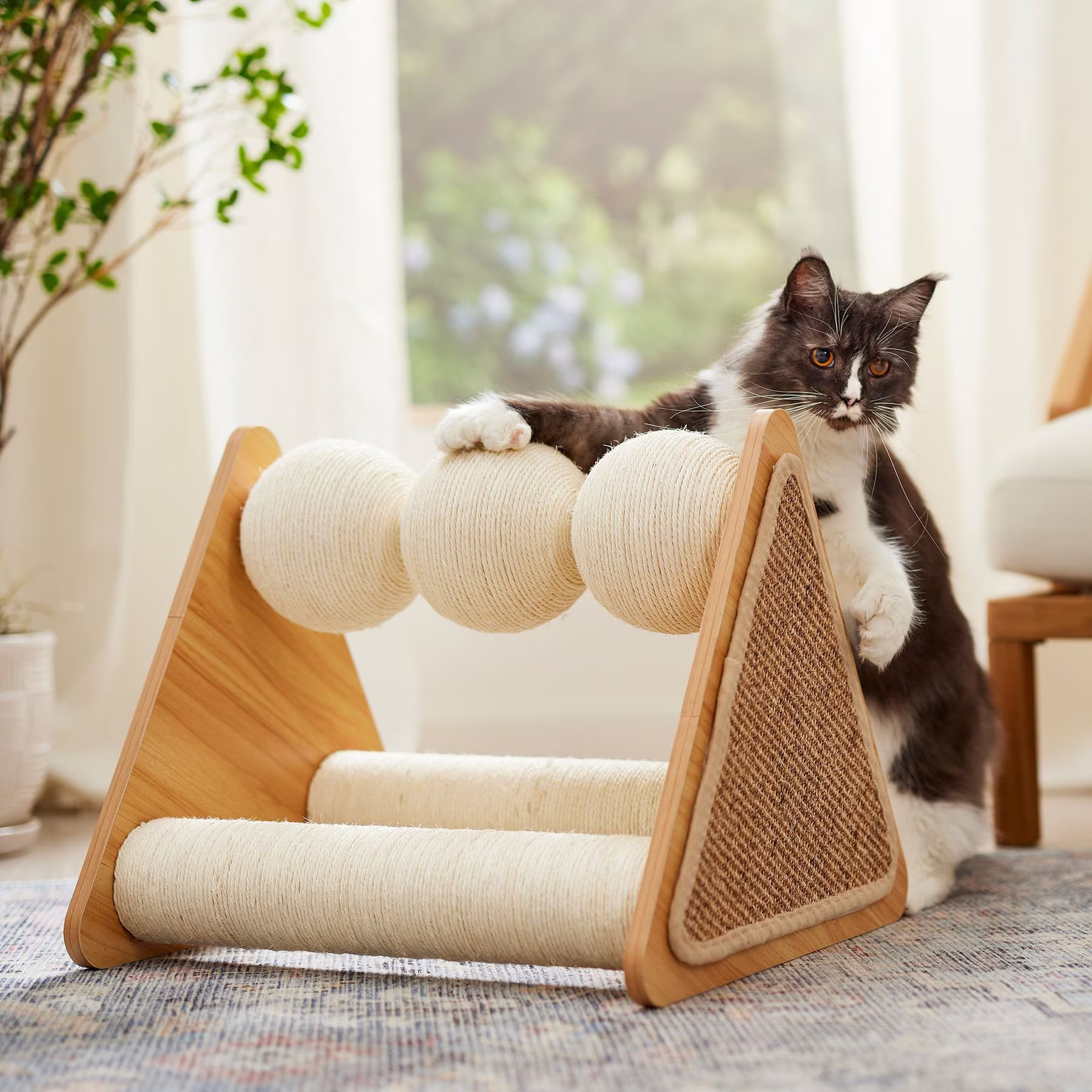 FRISCO Triple Sisal Ball 19.5" Cat Scratching Post - Chewy.com | Chewy.com