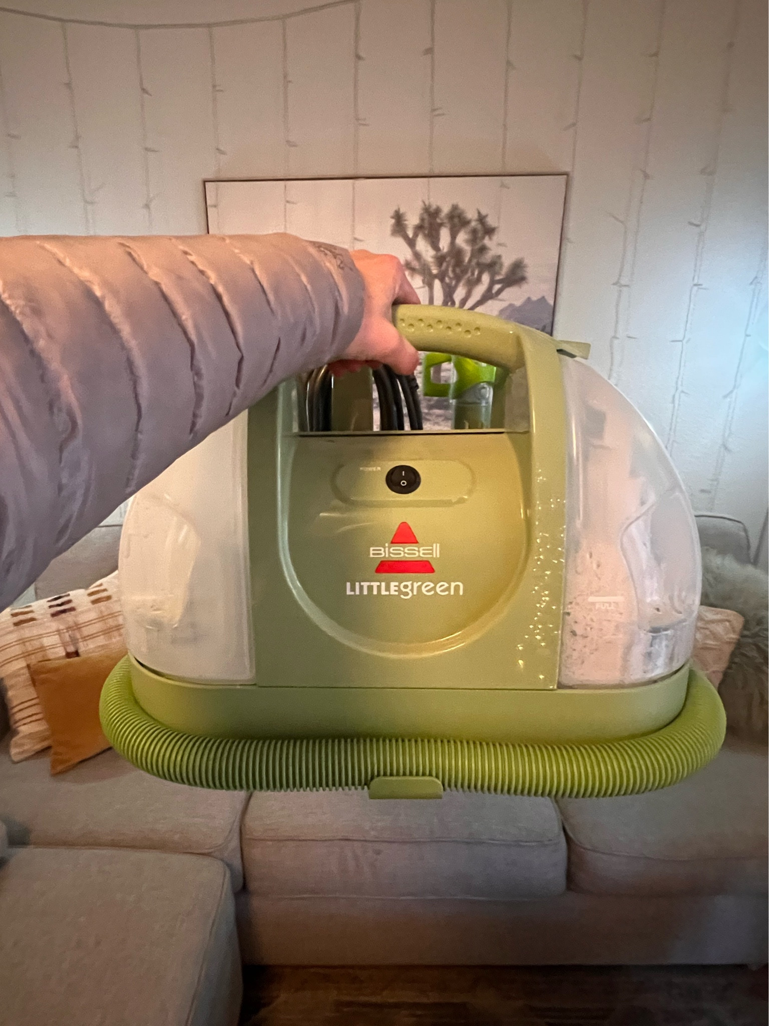 If you own a pet, you need this carpet/upholstery cleaner. It has saved our furniture and rugs 10x over! 🐶🫧💯 


#LTKfindsunder100 #LTKhome