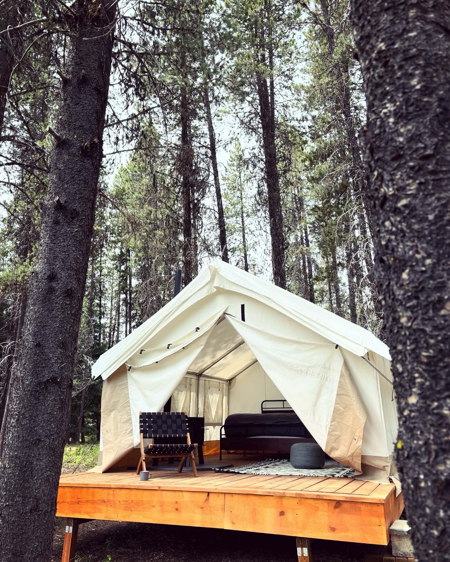 From the desert to the mountains in one week.  We feel lucky to live on the west coast.  Check out this cool glamping tent that we have on our property in Oregon.  My brother has it listed on @airbnb and it sits on a beautiful creek.  

#LTKHome #LTKTravel