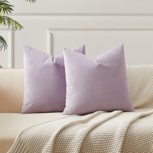 JUSPURBET Decorative Pillow Covers Set of 2 Velvet 26x26 Throw Pillow Covers for Couch Sofa Bed S... | Amazon (US)