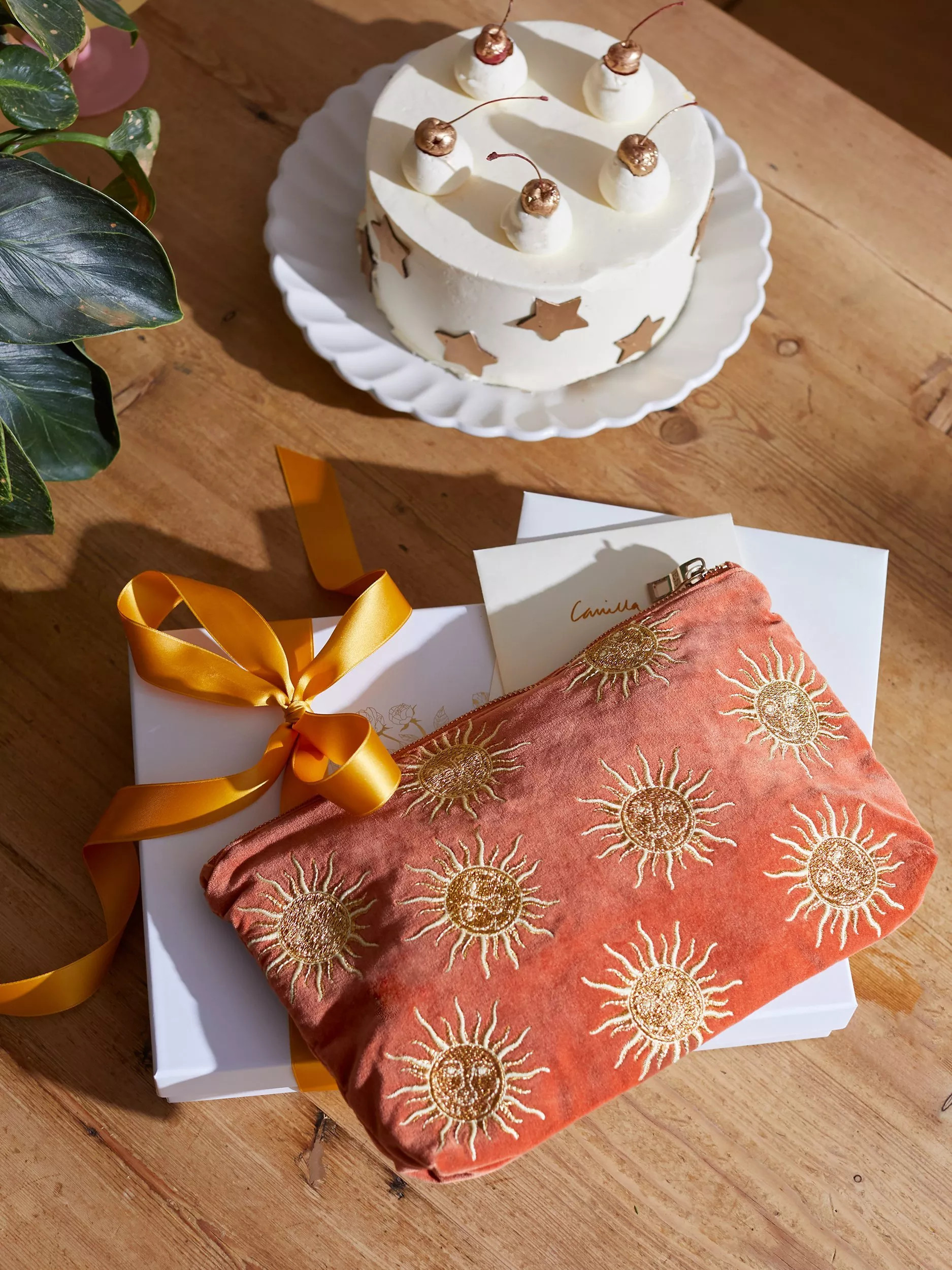 Elizabeth ScarlettSun Goddess Velvet Pouch, Rust | John Lewis (UK)