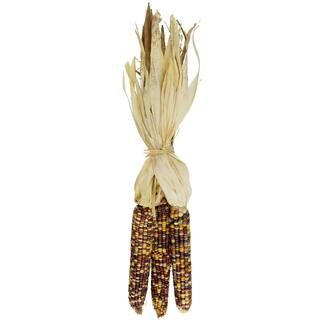 Dried Indian Corn Bundle by Ashland® | Michaels Stores