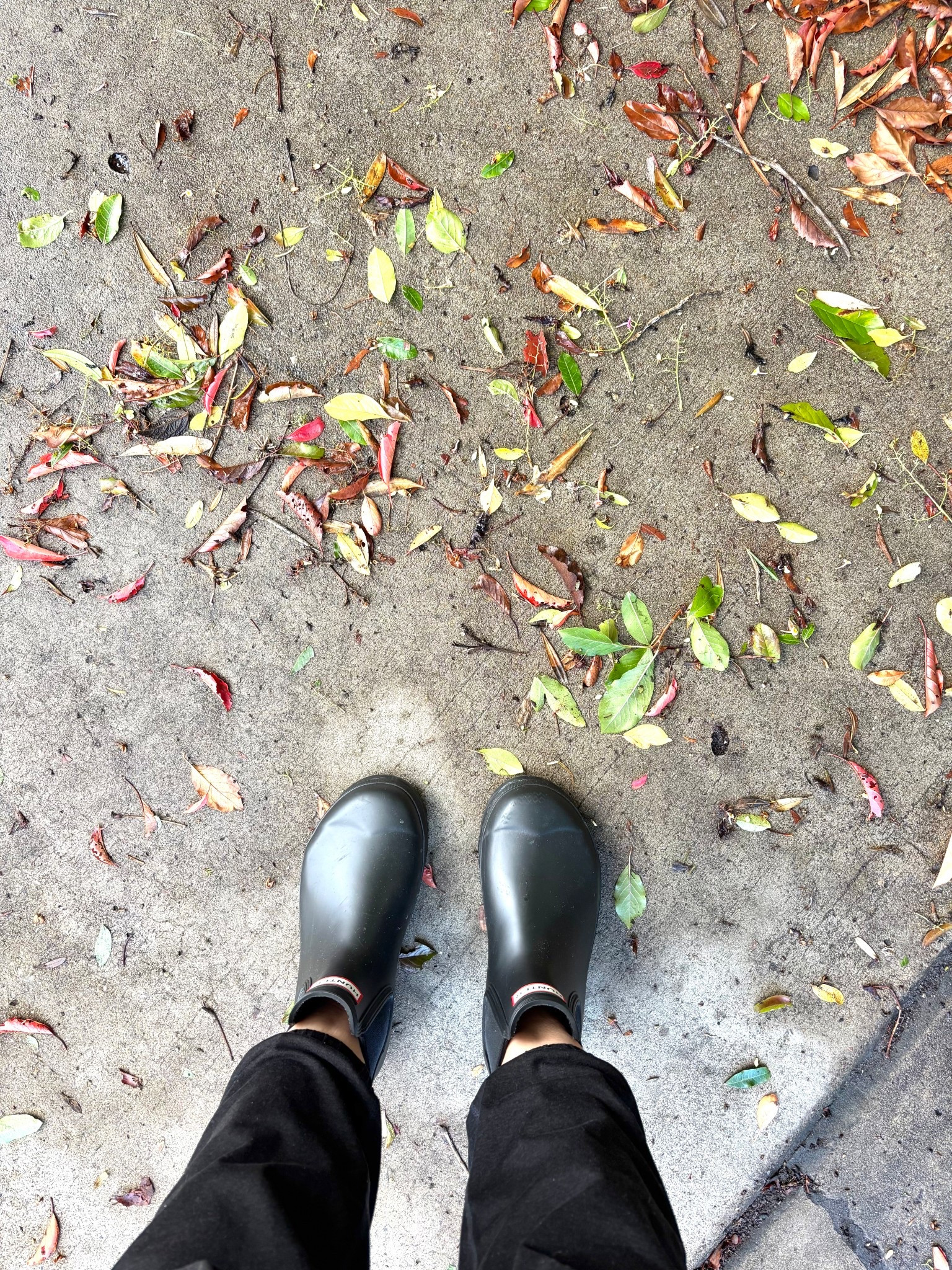 my favorite hunter rain boots is out and about in SoCal - easy to wear and perfect for California! PS: I love its short!

#LTKOver40 #LTKSeasonal #LTKShoeCrush