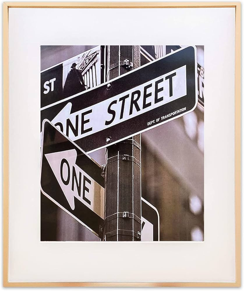 TheDisplayGuys - Contemporary Aluminum Picture Frame - Tempered Glass - 16x20 matted to 11x14 - Gold | Amazon (US)