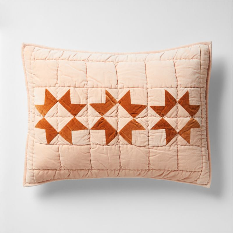 Elegant Pink Heritage Velvet Kids Pillow Sham + Reviews | Crate & Kids | Crate & Barrel