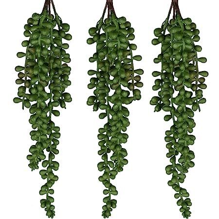 SEEKO Artificial Succulents - 3 Pack Hanging String of Pearls Plant - Create Realistic Succulent ... | Amazon (US)