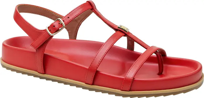 Lilith Ankle Strap Sandal (Women) | Nordstrom