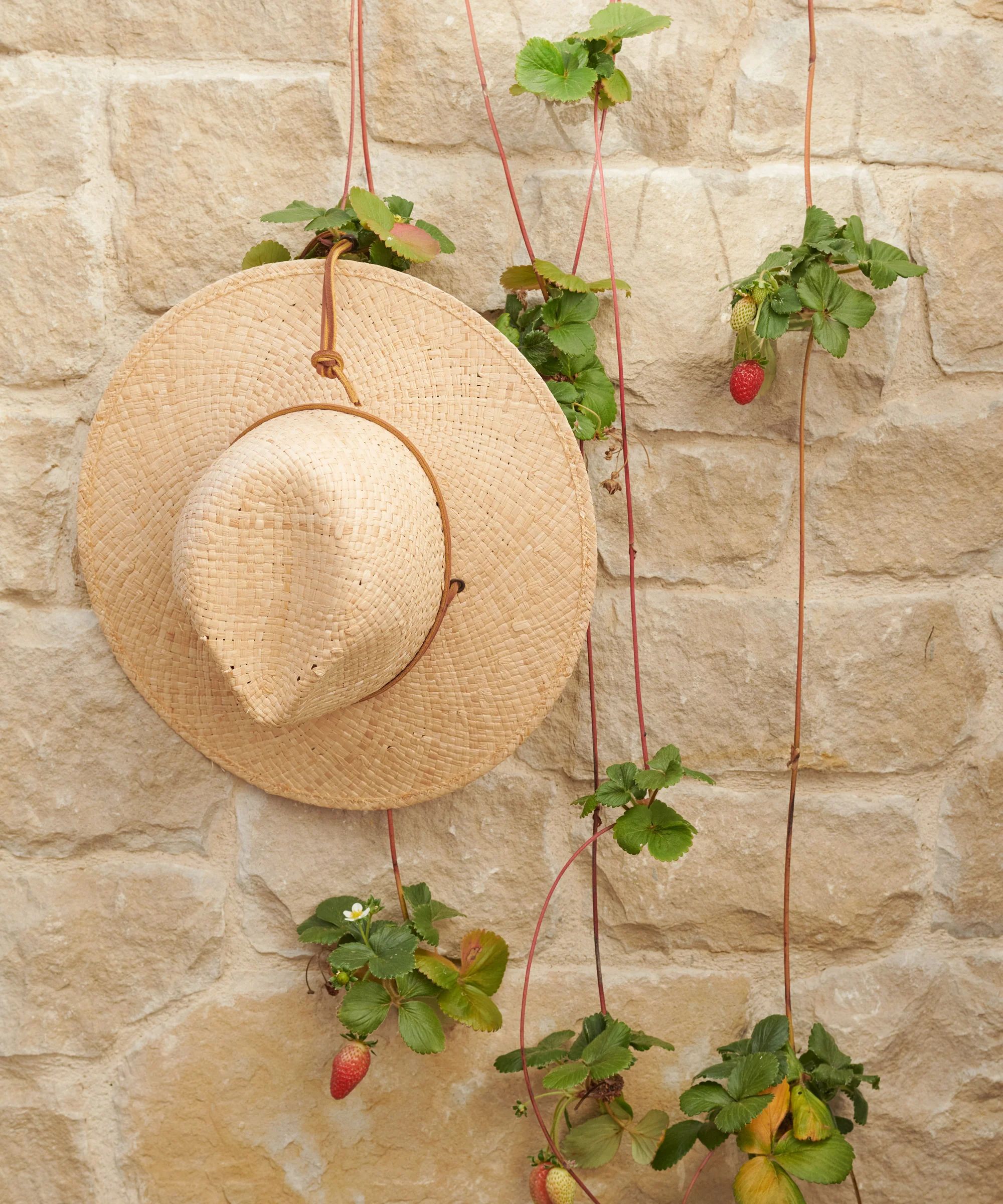 Safari Hat | Jenni Kayne