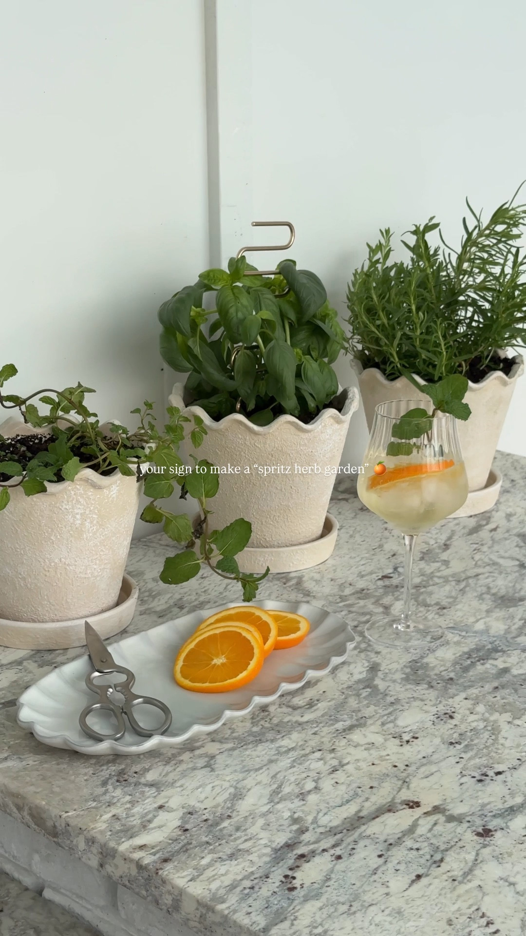 pov: it’s spritz season 🍊 | my fave fresh herbs to garnish any spring/summer spritz cocktail: sweet mint, rosemary, basil + lavender 🥂 #herbgarden 

#spritz #walmartfinds #backyardparty 

#LTKSeasonal #LTKHome
