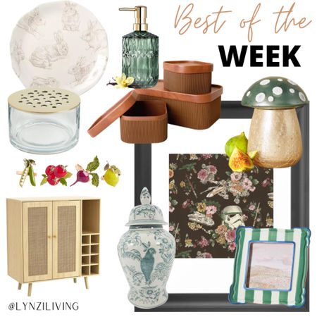 Best of the Week - all of the most clicked items of last week 

Home decor, living room decor, kitchen decor, dining decor, rabbit salad plate, bunny salad plate, rabbit plate, Kirkland’s home, Easter, Amazon home, Amazon finds, Amazon favorites, green soap dispenser, glass soap dispenser, brown storage boxes, storage containers, green mushroom candle, Anthropologie finds, society6, floral storm trooper wall art, Star Wars wall art, green striped picture frame, chinoiserie jar, ceramic jar, bird jar, bar cabinet, fruit napkin rings, vegetable napkin rings, H&M home, ikebana vase 

#LTKhome #LTKunder50 #LTKFind
