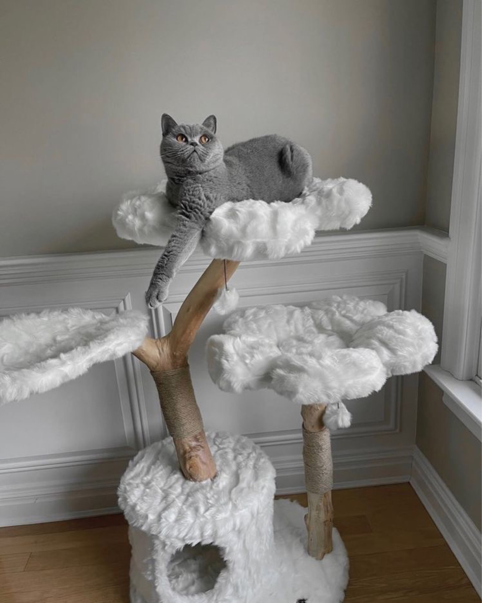 Wood Floral Cat Tree Cozy Plush curated on LTK