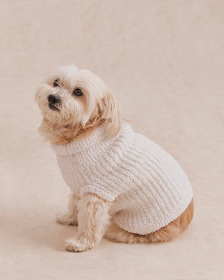 Splendid x @Cellajaneblog Ribbed Dog Sweater | Splendid