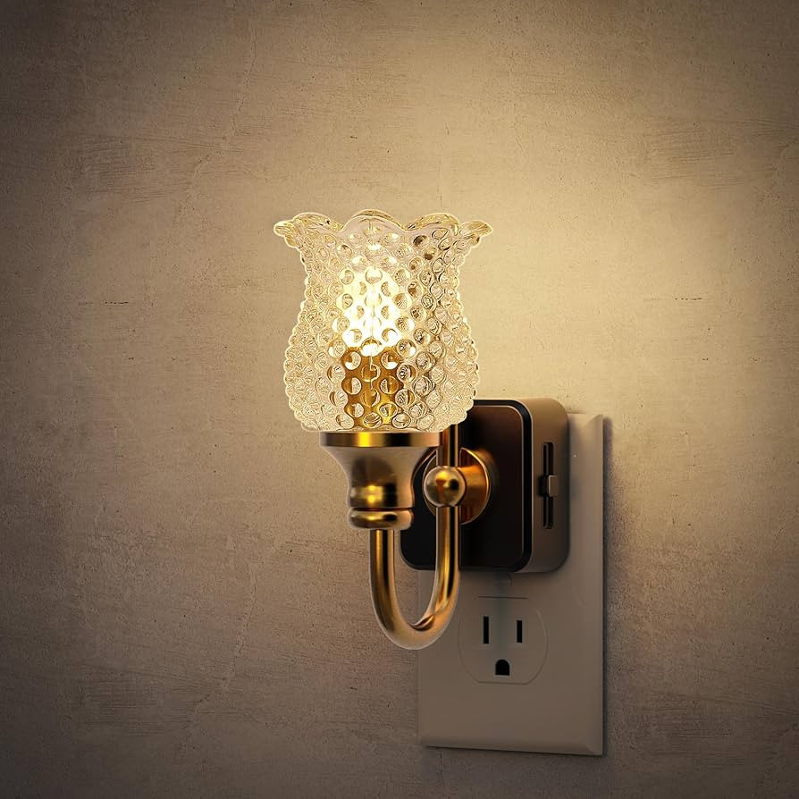 JandCase Night Light, Glass Night Lights Plug into Wall, Dimmble Floral LED Nightlight, 0-100 LM ... | Amazon (US)