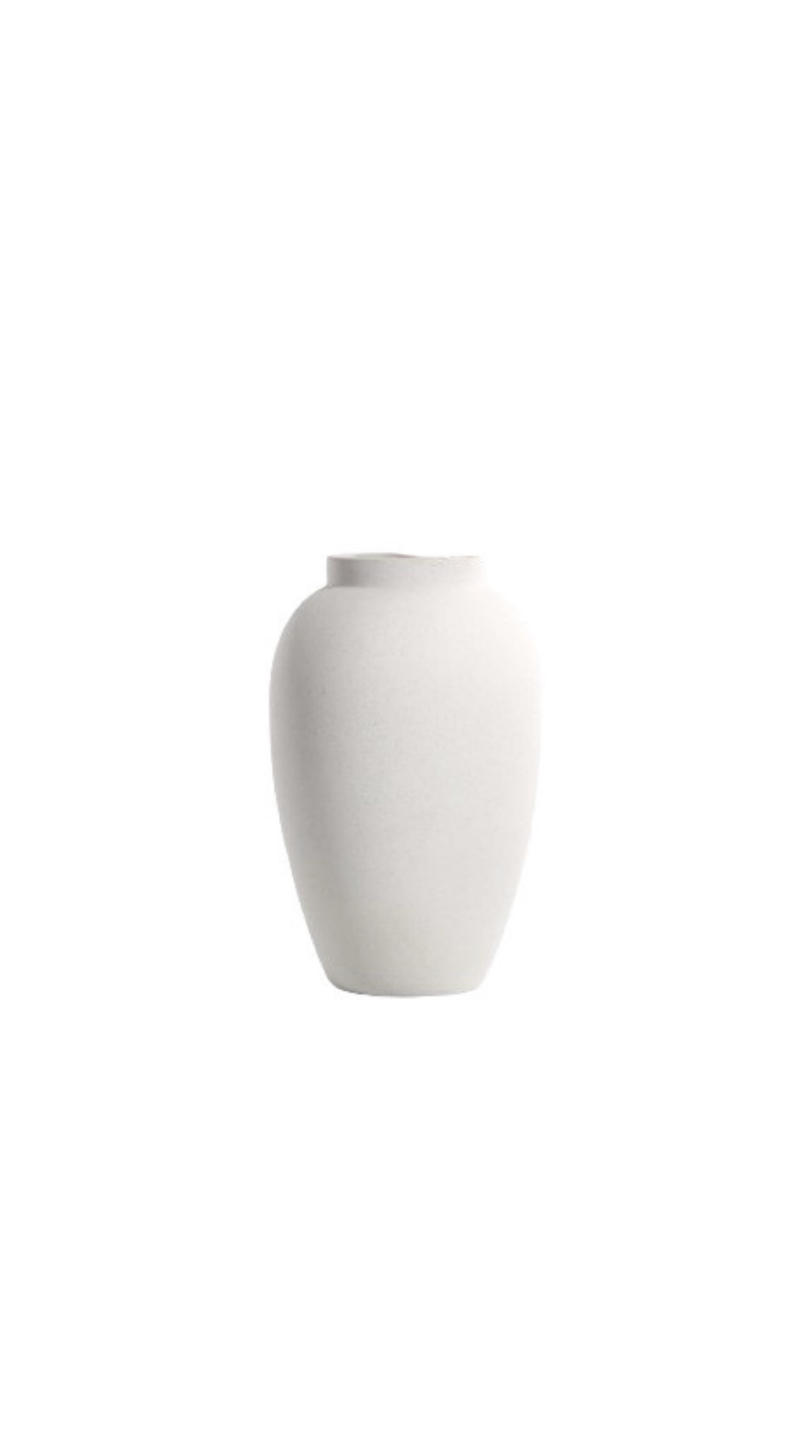Vase for Berry Branches