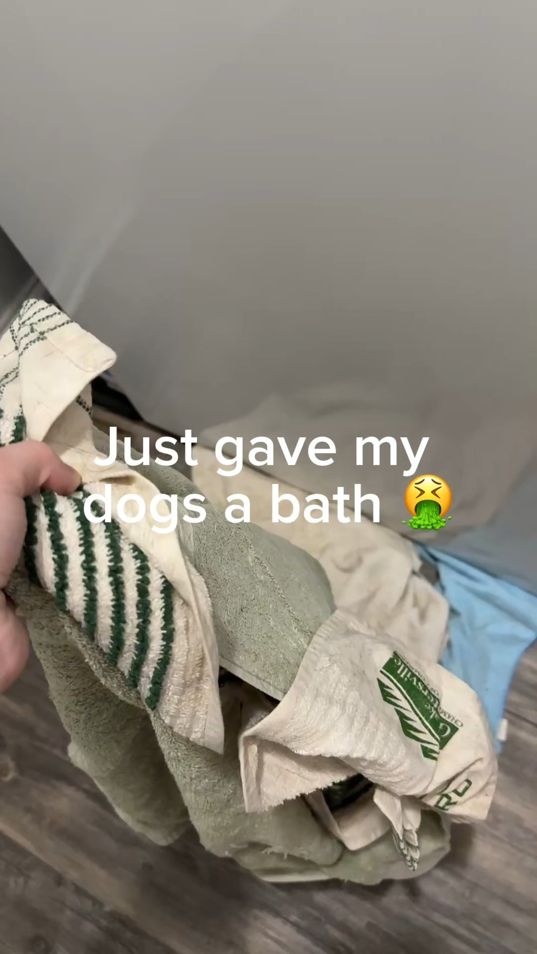 I love this detergent! 
It’s so great for washing all our dogs stuff!!

#LTKPets #LTKFamily