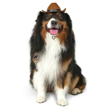 Vibrant Life Halloween Cowboy Hat Costume for Dogs, Brown, Medium/Large | Walmart (US)