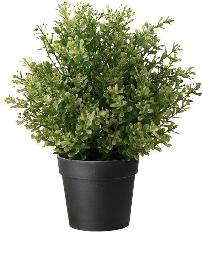 Ikea Artificial Potted Plant, Thyme, 9.5 Inch | Amazon (US)