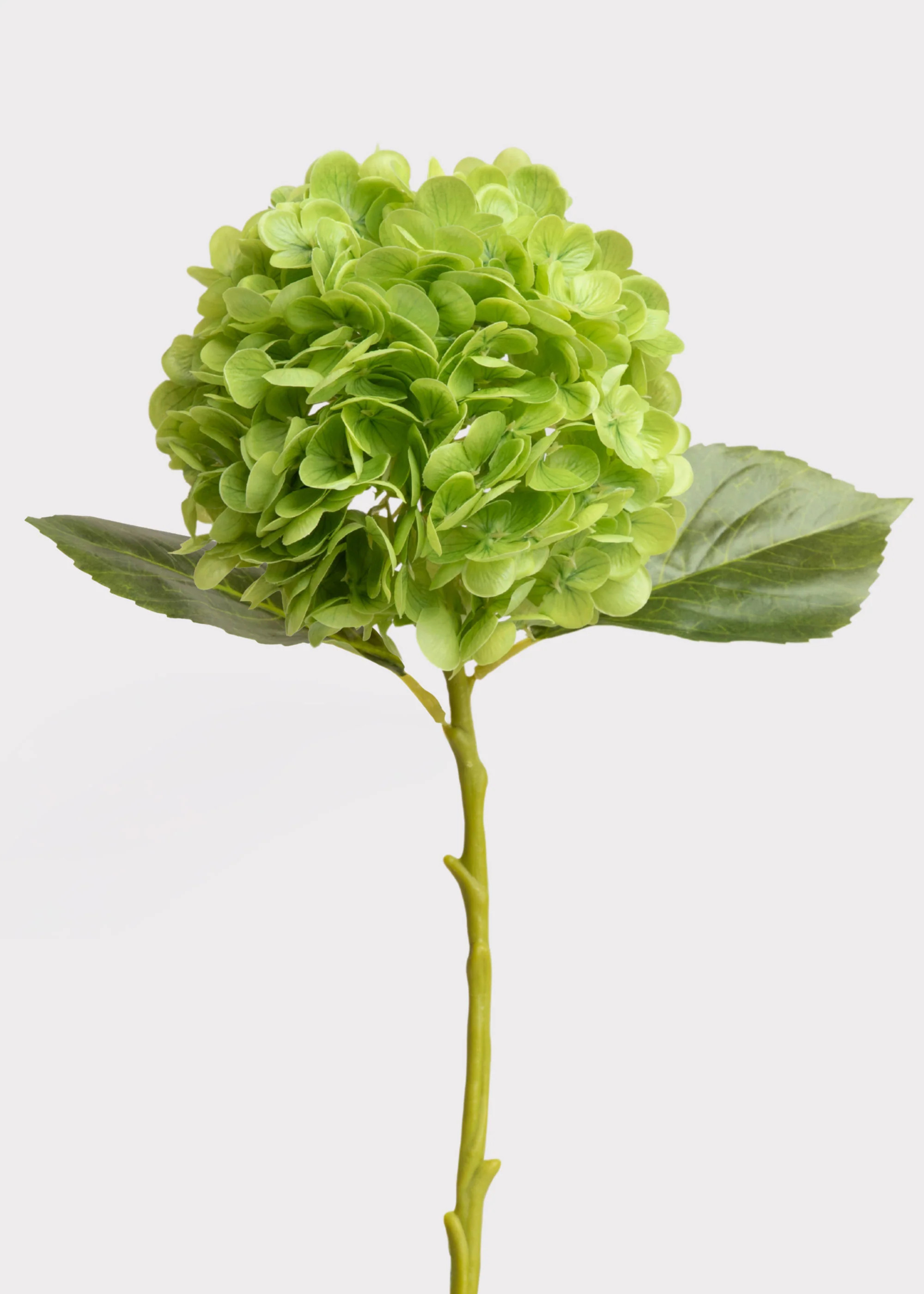 Hydrangea Real Touch Fake Flower in Green - 18.5 | Afloral