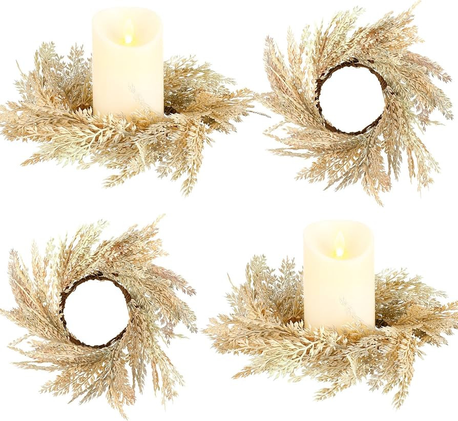 Panelee 4 Pcs Pampas Grass Candle Rings Wreath Faux Pampas Grass Candleholders 3.9 Inch Small Boh... | Amazon (US)
