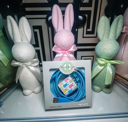 The cutest gift for anyone’s Easter basket! @classychargers

#LTKfindsunder50 #LTKtravel #LTKfamily