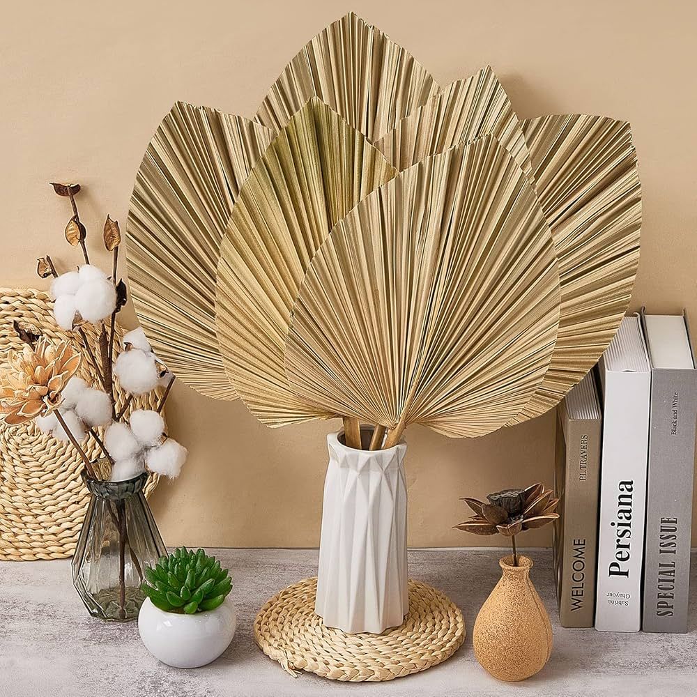 8 Pieces Large 20 x 9 Inch Dried Palm Leaves Party Decorations Natural Trimmed Dried Palm Spear H... | Amazon (US)