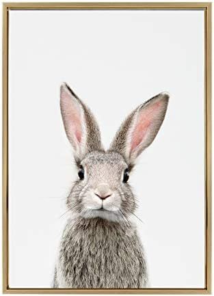 Kate and Laurel Sylvie Female Baby Bunny Rabbit Animal Print Portrait Framed Canvas Wall Art by Amy  | Amazon (US)