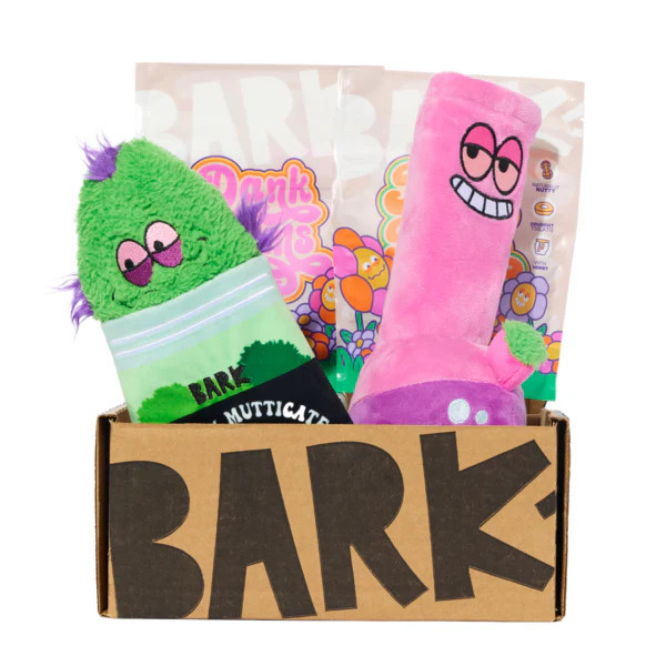 Bud Hounds BarkBox - One Month Gift Box | BARK