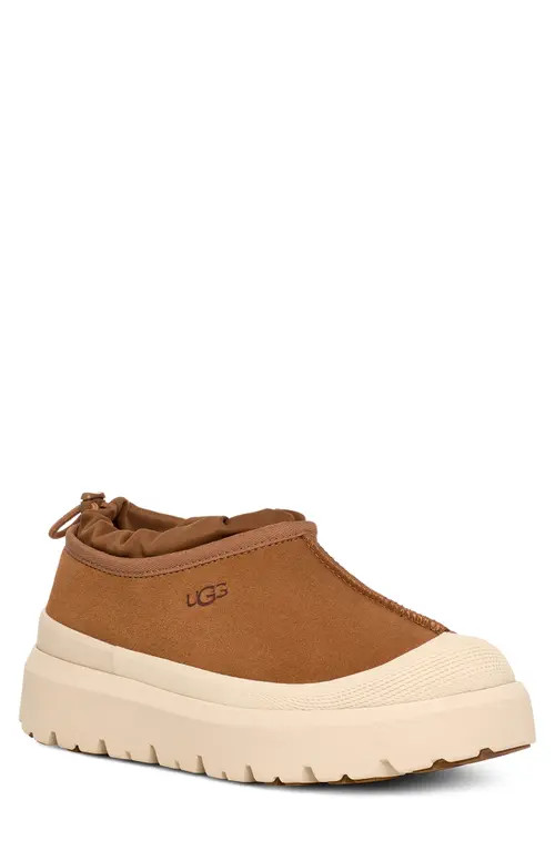 UGG(r) Tasman Waterproof Hybrid Slip-On in Chestnut /Whitecap at Nordstrom, Size 12 | Nordstrom