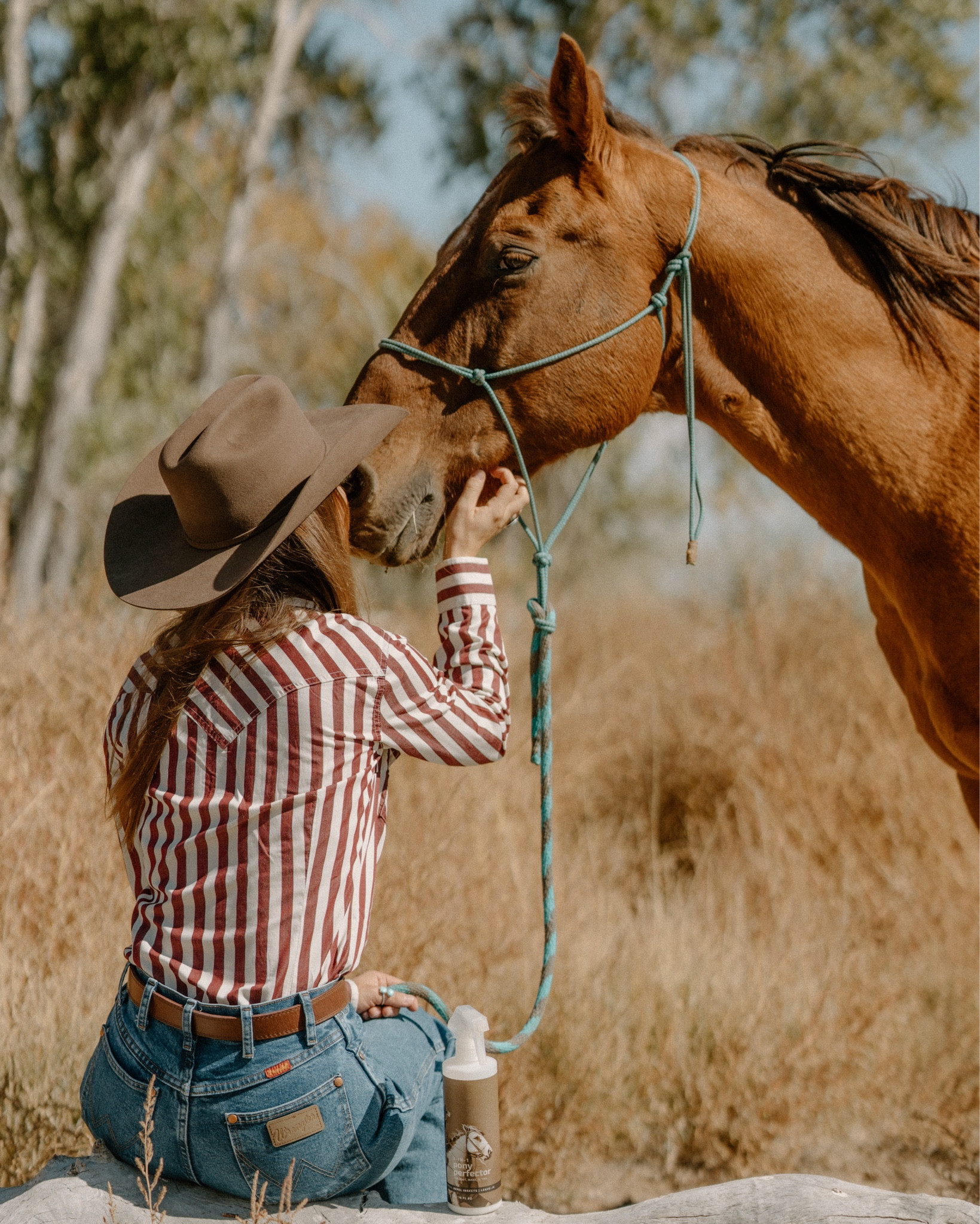 Every horse girl needs a little vintage flair! This retro-inspired button-down is the perfect blend of old-school charm and modern cowgirl vibes 🐎✨ 
And don’t wait, my favorite pair of cowboy cut jeans are $28 now!

#LTKSeasonal #LTKStyleTip #LTKWorkwear