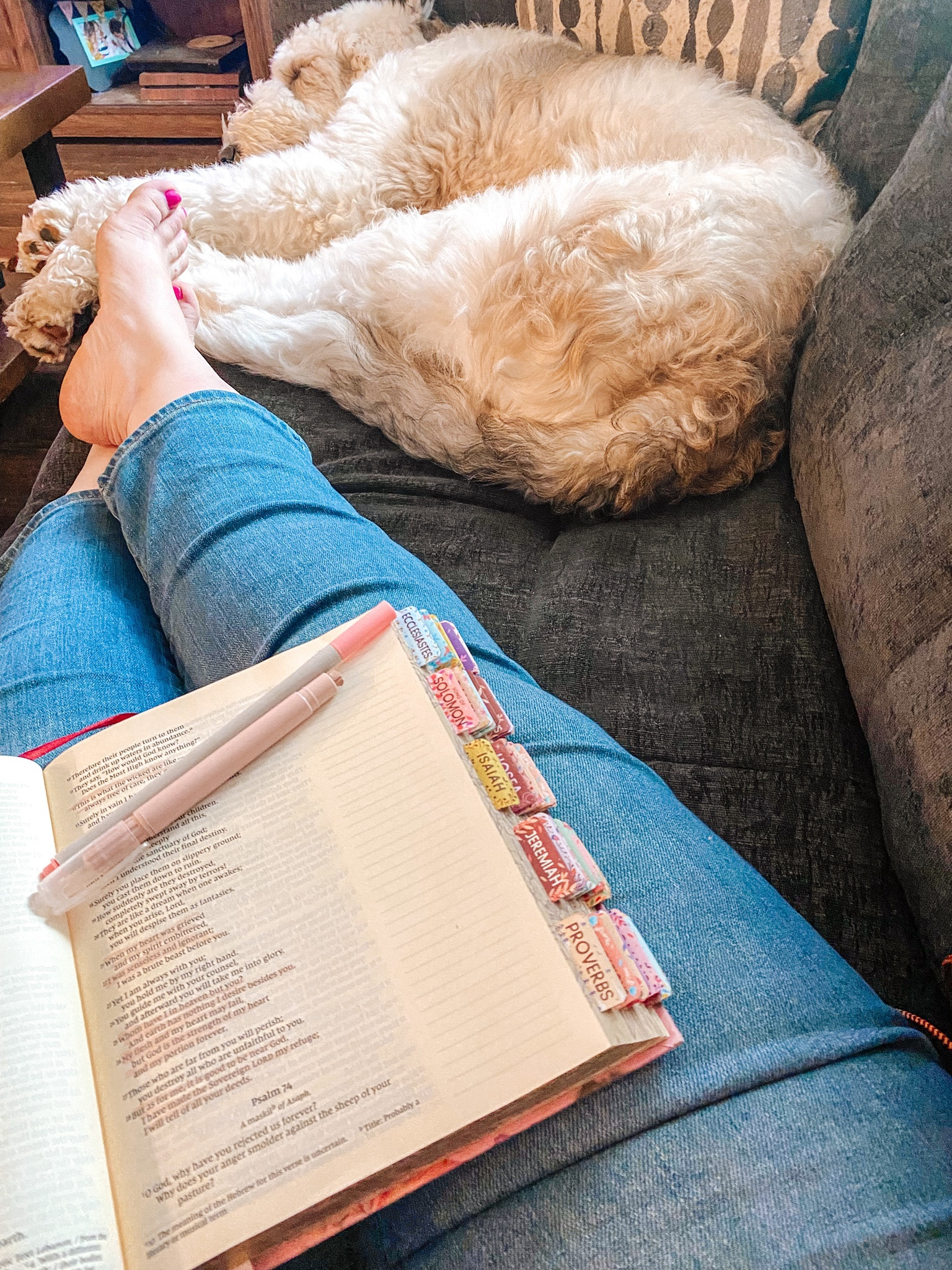 Quiet time this afternoon with my Bible. I’m 1/3 of the way through my Bible and so happy I’ve been reading it this year. Don’t have a Bible? I LOVE this one. It has Comfort Print sized text, has perfectly sized margins for writing notes, and a beautiful floral fabric cover. I added the tabs and they just add to the aesthetic! It brings me joy and makes me want to read even more! Give the set as a Mother’s Day gift or share it with your kids so they can get it for you!

#LTKFind #LTKsalealert #LTKGiftGuide
