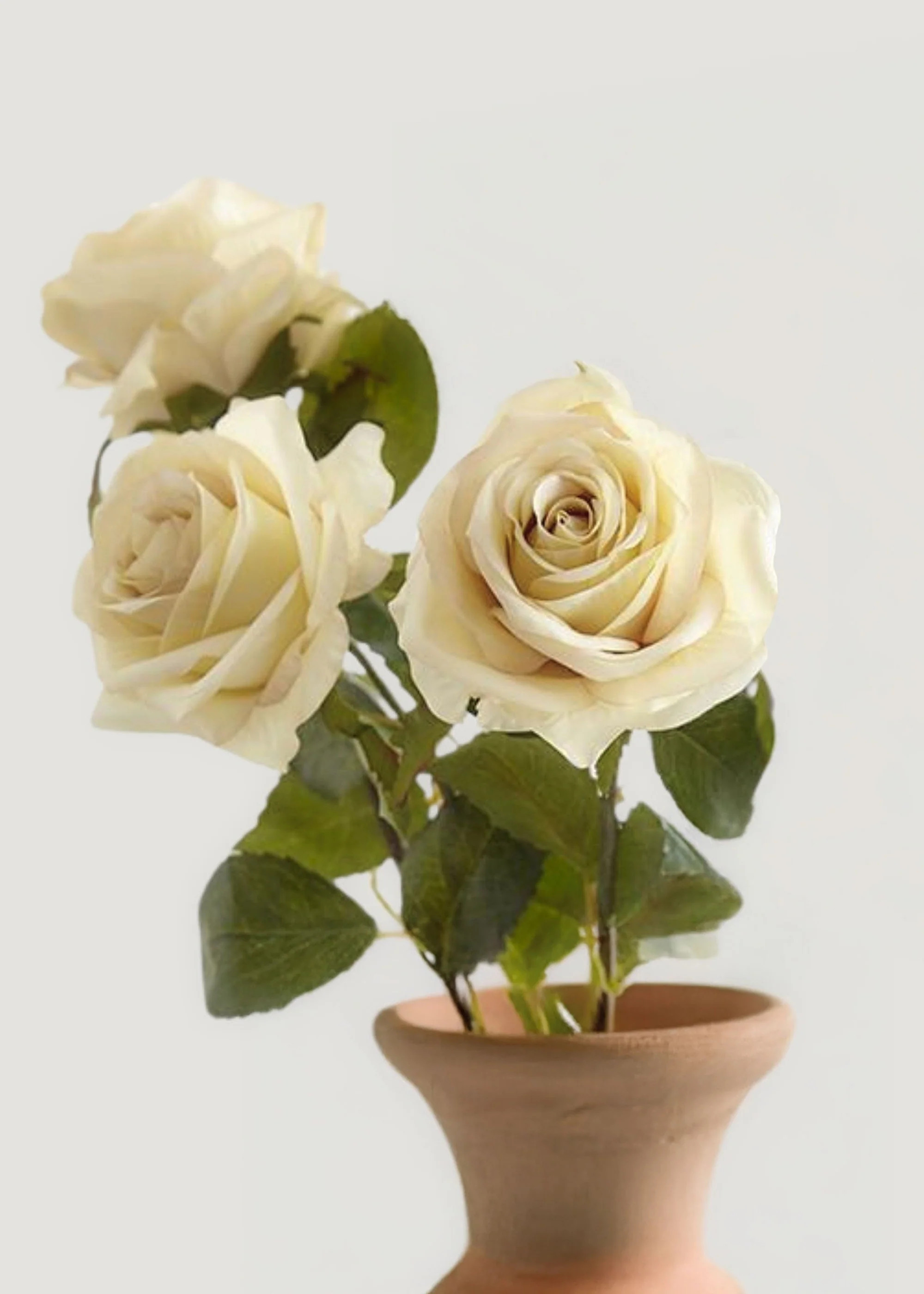Bundle of 3 - Eggshell Cream Fake Rose - 21.5 | Afloral