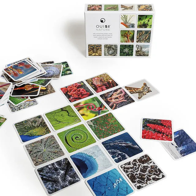 Natural Connections & Discovery Game | UncommonGoods