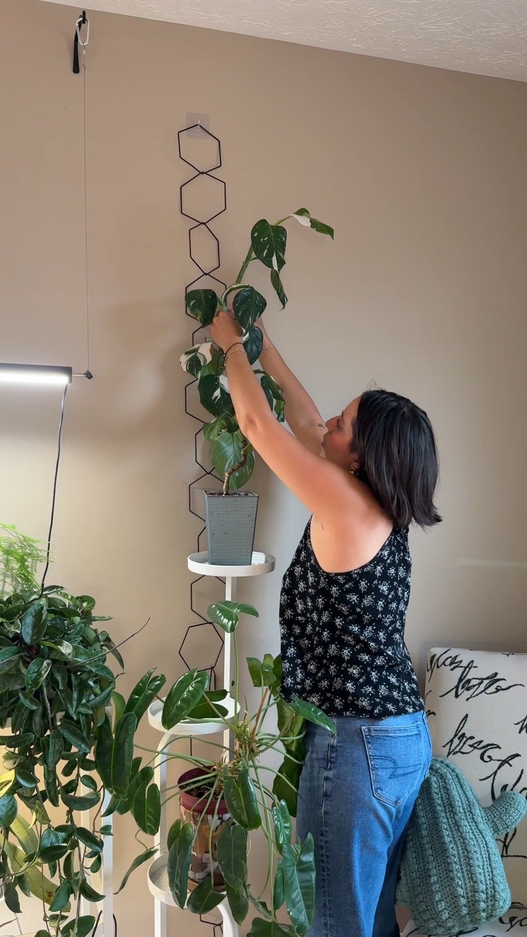 Plant chain trellis 