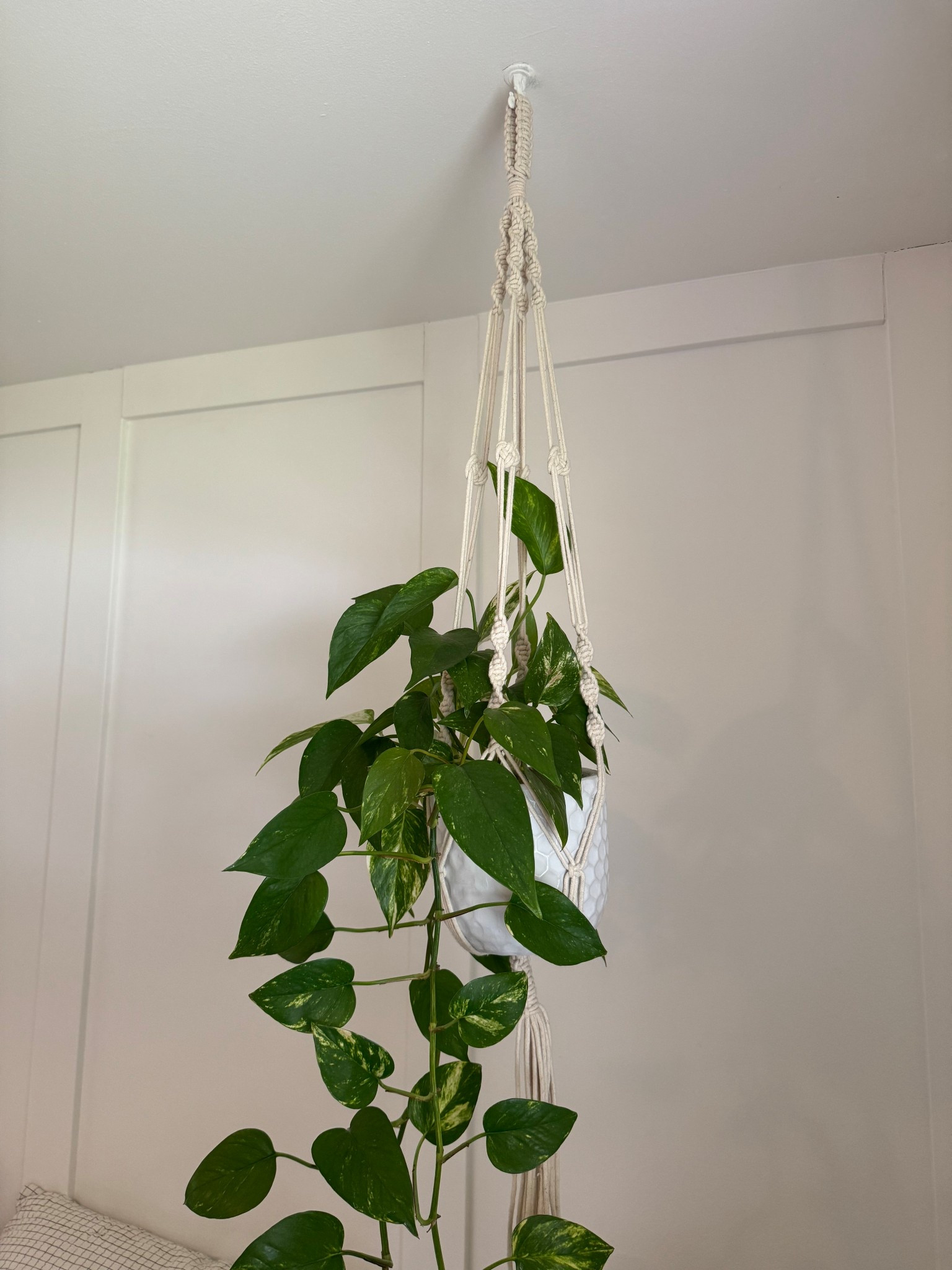 Love a classic macrame plant hangar 🥰

#LTKU #LTKWatchNow #LTKHome