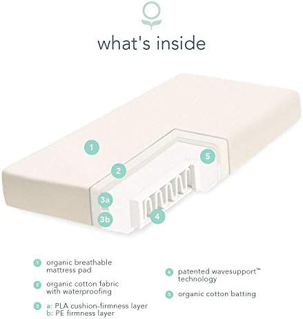 399. | Amazon (US)
