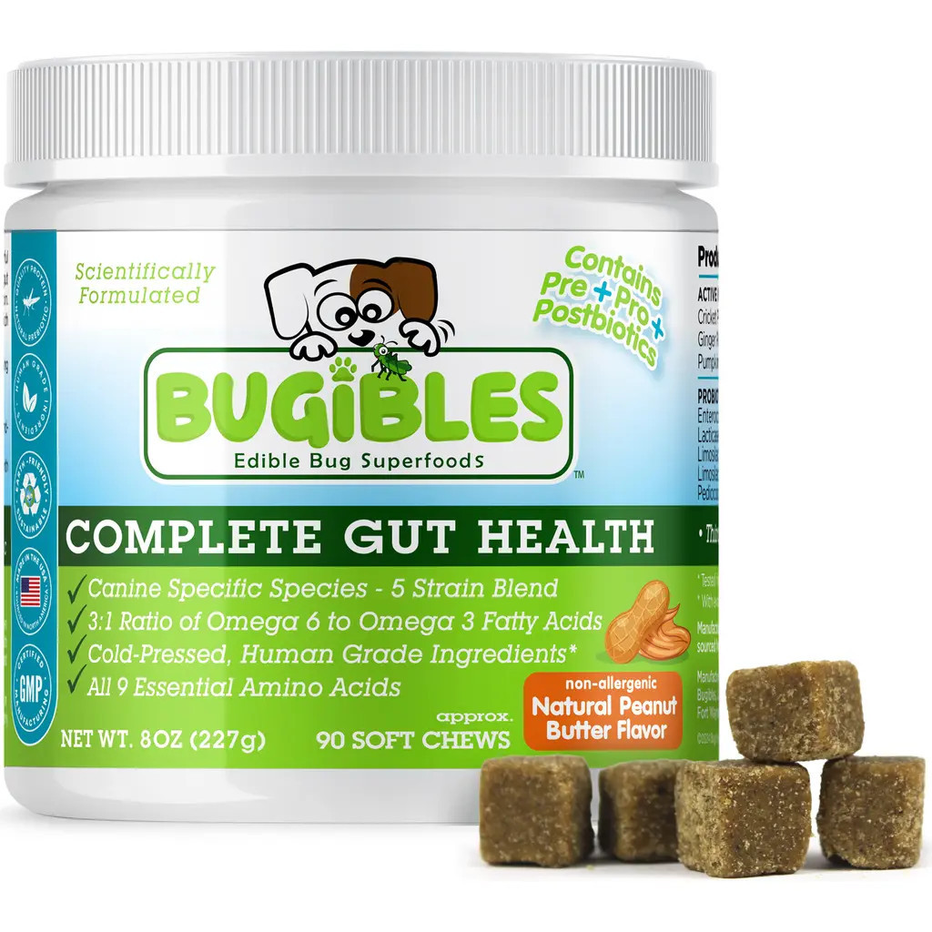 Bugibles Complete Gut Health 90 Probiotic Soft Chews For Dogs in Brown at Nordstrom | Nordstrom