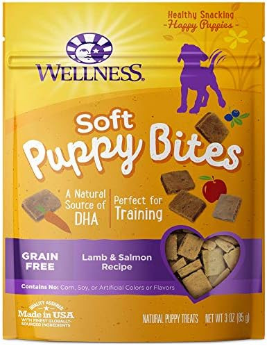 Wellness Natural Grain Free Puppy Training Treats | Amazon (US)