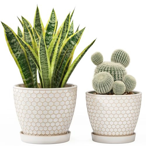 Docrin Ceramic Plant Pots Indoor, 6.6 + 5.5 Inch Flower Pots with Drainage Holes and Saucer for Plants, Set of 2, Milky White Honeycomb | Amazon (US)