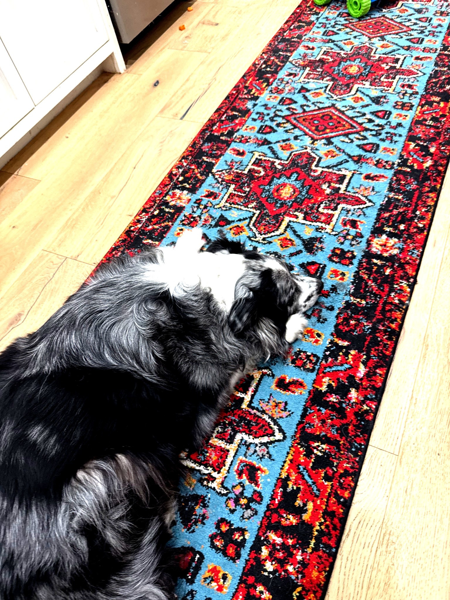 Love the pop of color in my kitchen runner!  Such a great family & pet friendly rug. Makes me happy & our Australian shepherd Bonnie is waiting on supper. Kitchen smells amazing with a roast in our crockpot!

#LTKFamily #LTKHome #LTKPets
