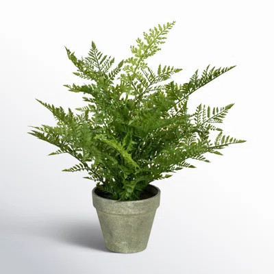Artificial Fern Plant in Pot | Wayfair North America