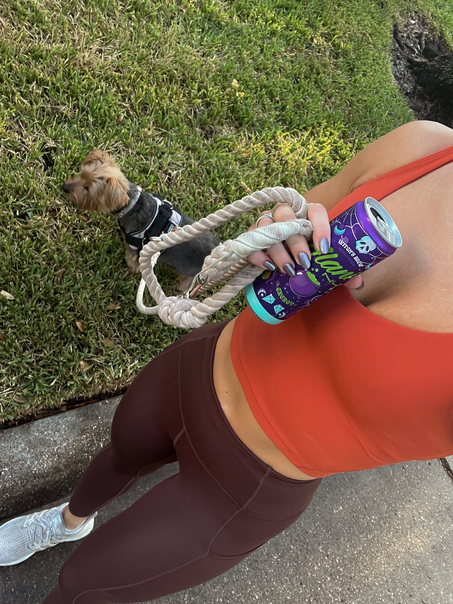 workout ootd - channeling all the fall energy i can in this hot weather! wearing a 4 in the top & leggings. love that the browns are back at lulu 🫶🏼 these color ways are old but they have similar!

#LTKfitness #LTKSeasonal #LTKunder100