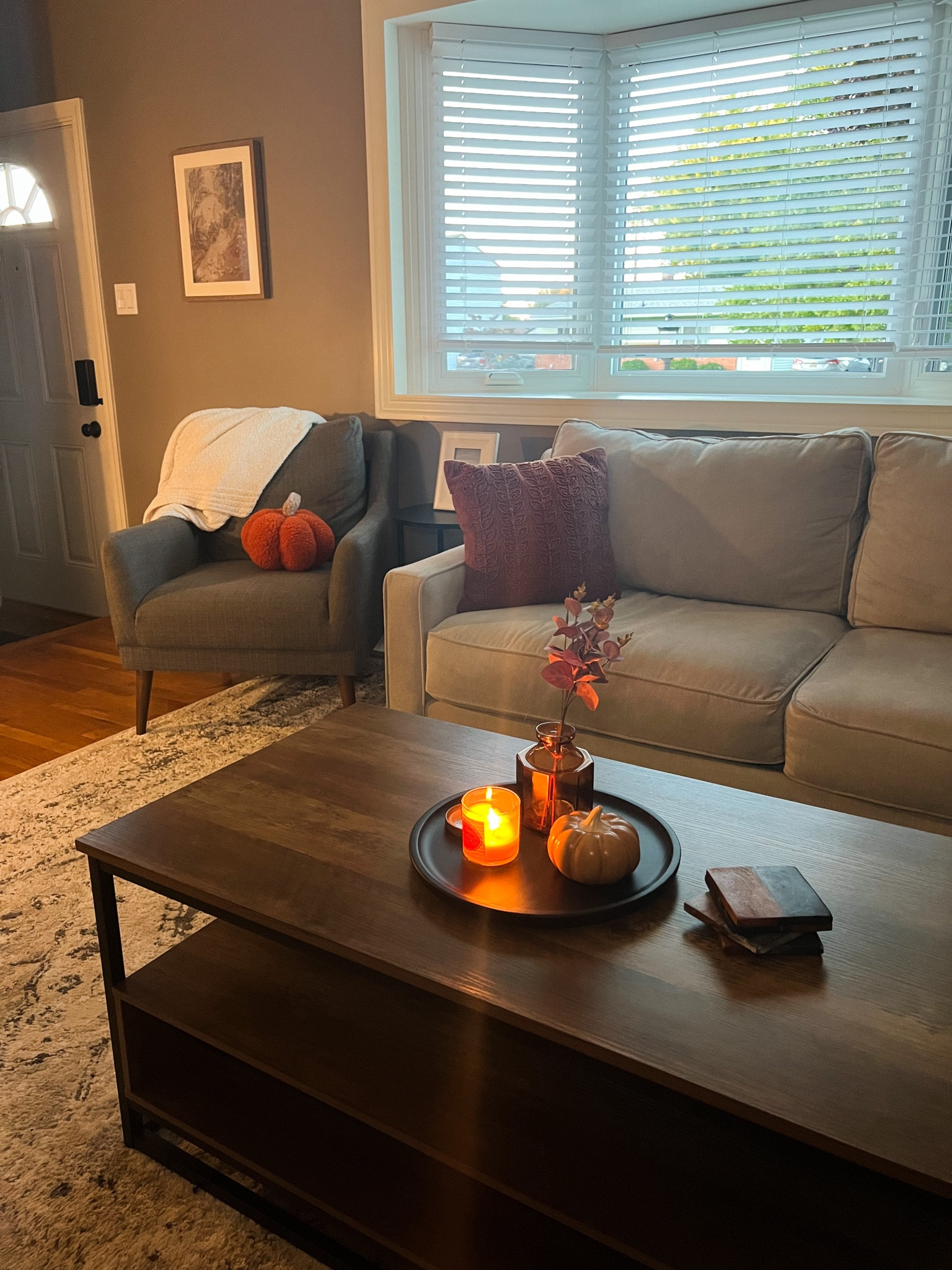 Fall living room decor 

Throw pillows, throw blanket, pumpkin pillow, floral fall stems

#LTKSeasonal #LTKhome #LTKstyletip