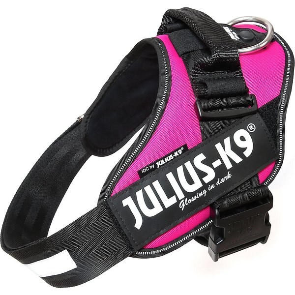 Julius-K9 IDC Powerharness Nylon Reflective No Pull Dog Harness | Chewy.com